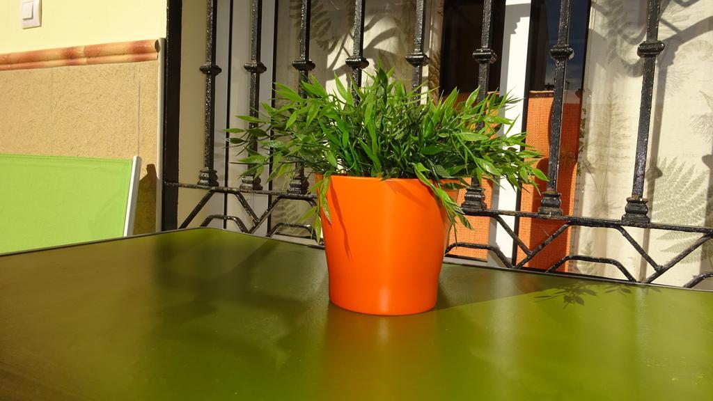 Apartamento Rulosol 2 توريمولينوس المظهر الخارجي الصورة